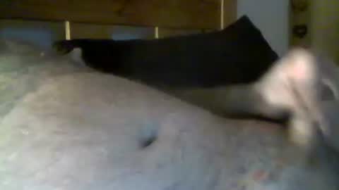 jerkmate6666 online show from May 1, 10:36 pm