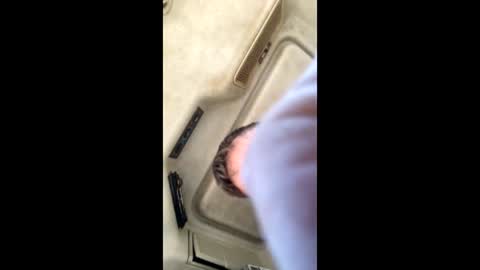 jesaj online show from November 26, 12:50 pm