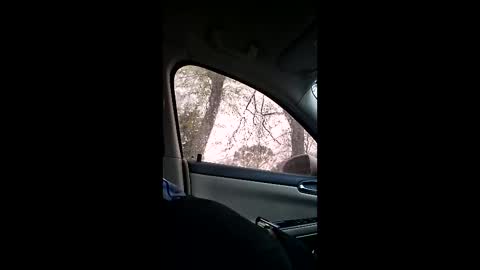 Snapshot of jgthagr8 chatting on March 4, 1:28 pm jgthagr8 online show from March 4, 1:28 pm