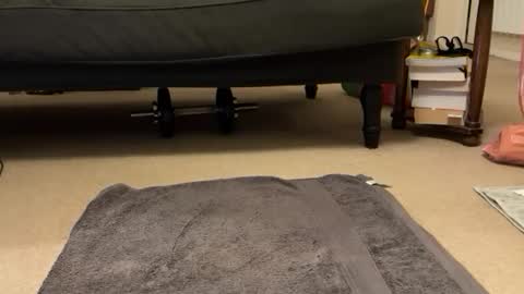 jinker2002 online show from December 16, 5:22 pm