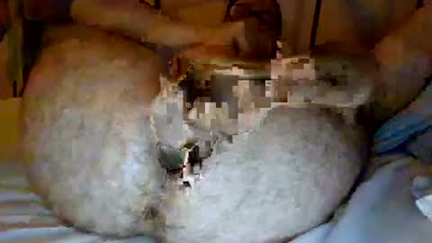 jjhot902921 online show from June 25, 2:44 am