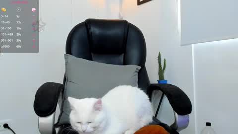 Snapshot of jmortton chatting on December 1, 2:33 pm IGJmortton online show from December 1, 2:33 pm