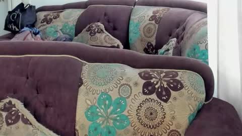 JOAN SAENZ online show from January 17, 6:44 pm