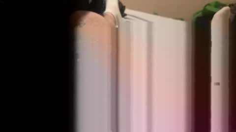 jocmyv9wokry online show from February 20, 11:54 am