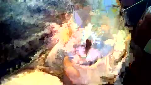 joedunbar61 online show from September 17, 12:12 am