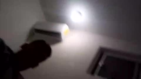 joelelizandroelizalde online show from November 12, 8:04 am