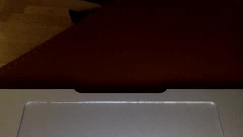 Snapshot of johannesjohnsson780 chatting on February 5, 10:03 pm johannesjohnsson780 online show from February 5, 10:03 pm