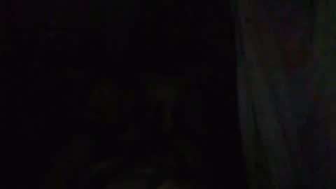 johnny online show from June 28, 7:47 am
