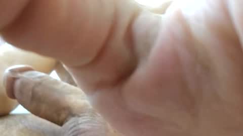 Snapshot of johnnnn2331 chatting on November 18, 2:17 am johnnnn2331 online show from November 18, 2:17 am