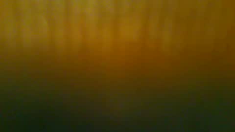 johnnyshung1 online show from December 21, 11:50 am