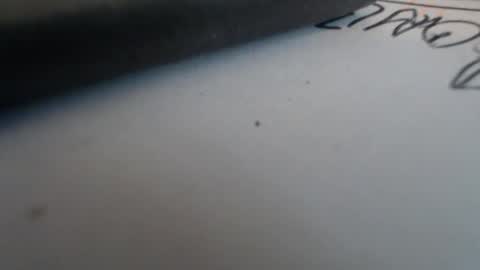 johnnyssunshine online show from October 25, 2:35 pm