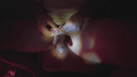 jonahshyfap online show from January 9, 2:22 am