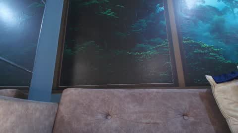 Jonas online show from January 23, 12:25 am