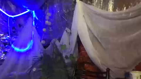 Jony Marta GMT 2000-0100 every day online show from October 16, 2:51 pm