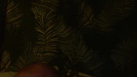 John online show from January 22, 4:55 am