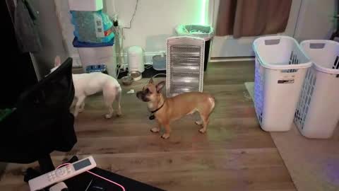 Josef online show from April 17, 5:21 am