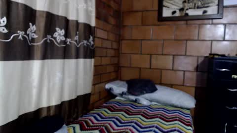 joseph online show from October 22, 3:07 am