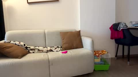 josh_xo online show from November 30, 12:25 am