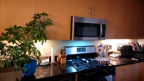 Snapshot of jtrnbll chatting on October 30, 9:04 pm ... online show from October 30, 9:04 pm