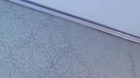 Snapshot of juanita_salv chatting on February 12, 5:52 pm juanita online show from February 12, 5:52 pm