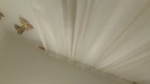 JuanmaSEX online show from November 14, 3:27 am