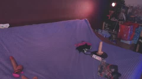 Arina online show from January 26, 7:41 pm