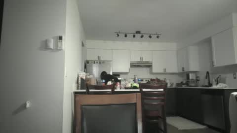 Snapshot of juicysavanah chatting on December 5, 5:05 am Sav online show from December 5, 5:05 am