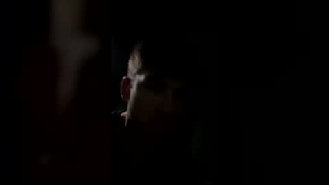 jul061007 online show from March 15, 11:33 pm