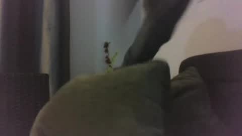 juliamartharlopezma19972023 online show from July 5, 11:12 pm