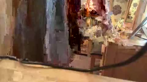 brian online show from November 6, 1:56 pm