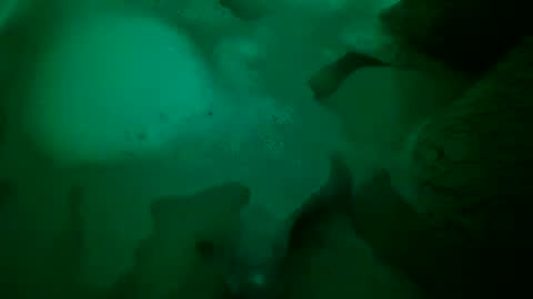 Yuri online show from December 22, 6:48 pm