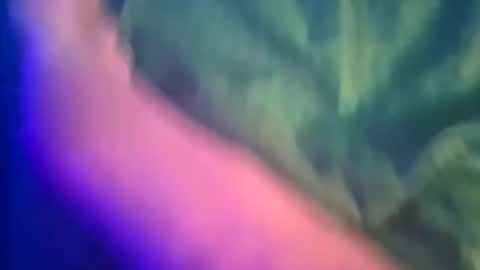 Yuri online show from March 8, 12:11 am