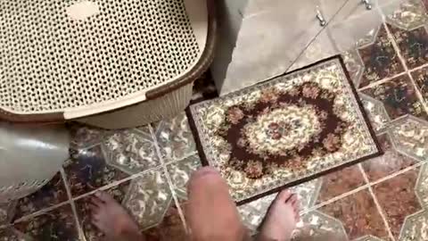 justin950116 online show from December 15, 7:18 pm