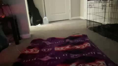 JustinCase online show from March 14, 10:42 am