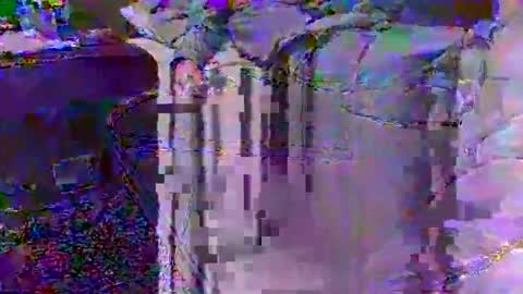 Techno Nymph online show from February 25, 3:49 am