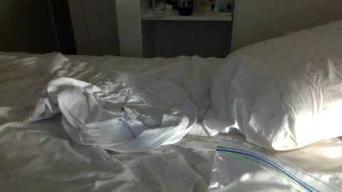 Snapshot of jwill10000 chatting on January 23, 11:37 am J and Sugar snap pea online show from January 23, 11:37 am