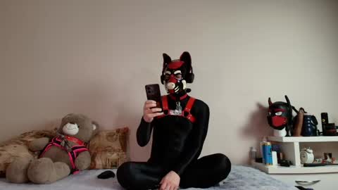 Snapshot of k9_goodboy chatting on April 29, 6:58 pm Alex online show from April 29, 6:58 pm
