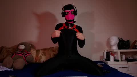 Snapshot of k9_goodboy chatting on June 7, 3:21 am Alex online show from June 7, 3:21 am