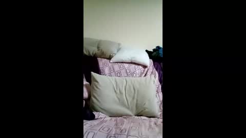 kactuses online show from December 5, 6:15 pm