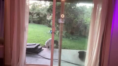 Kailee Smile online show from January 7, 3:46 am