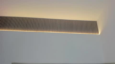 Carolina   online show from November 19, 12:05 pm