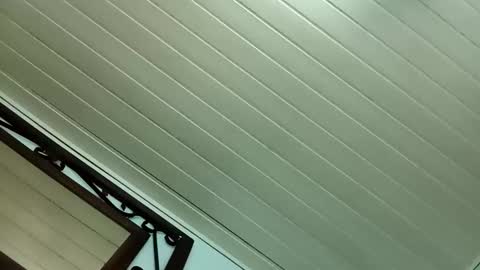 kamlug online show from February 24, 5:54 am