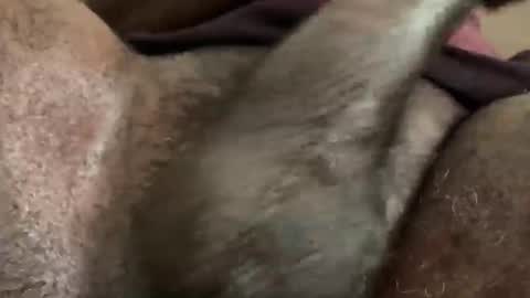 Snapshot of karadi5 chatting on December 5, 9:39 am Snookie online show from December 5, 9:39 am