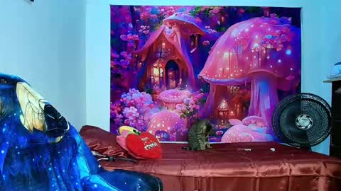    online show from November 10, 10:14 am