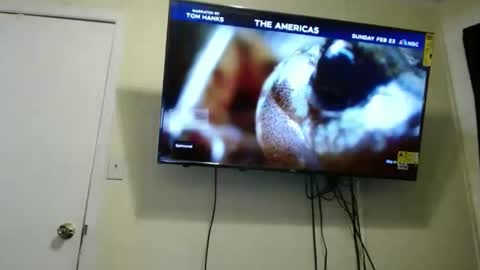 Snapshot of kashmoniy chatting on February 11, 7:44 am kashmoniy online show from February 11, 7:44 am