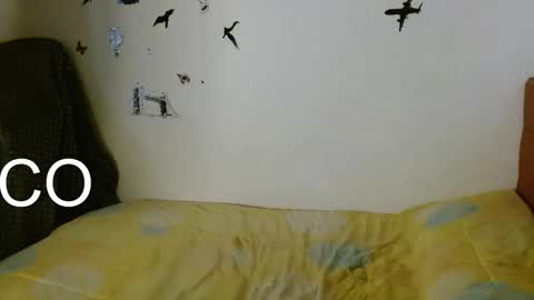 Katalina online show from October 28, 5:15 pm