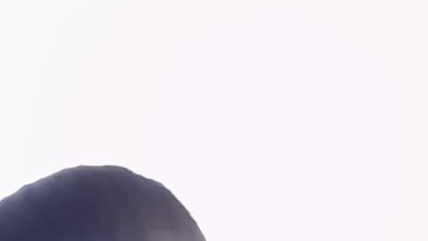 Help me with rate thanks  online show from November 22, 6:29 pm