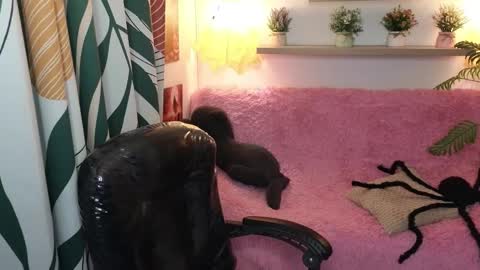 kathie_lozada online show from October 31, 6:03 am