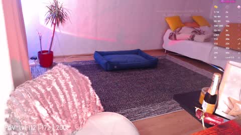 pvt open online show from December 25, 3:18 am