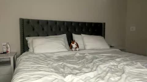 Kekeoutlaw online show from February 13, 2:57 pm